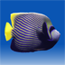 icon72.png